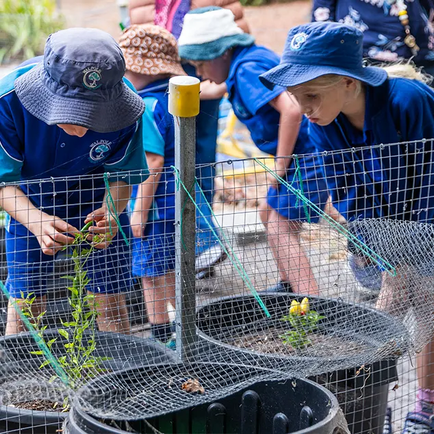 WALPOLE PRIMARY SCHOOL